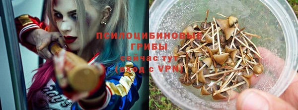 ECSTASY Волоколамск