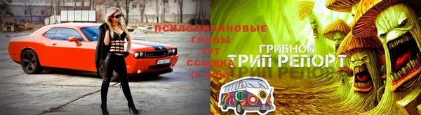 каннабис Володарск